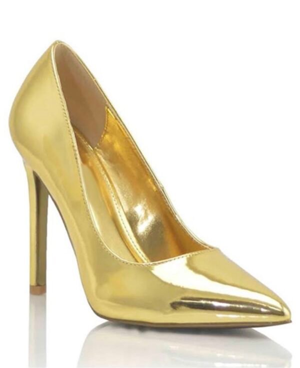 Laura Elegant Stiletto Heels