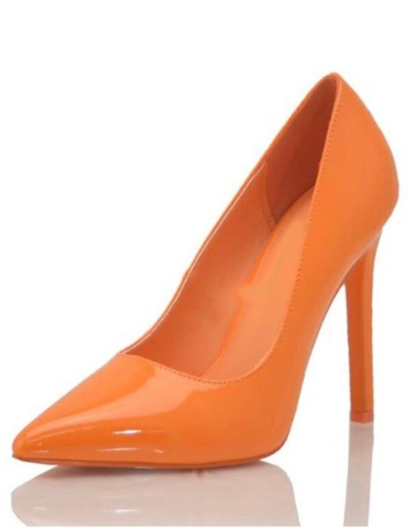 Laura Elegant Stiletto Heels