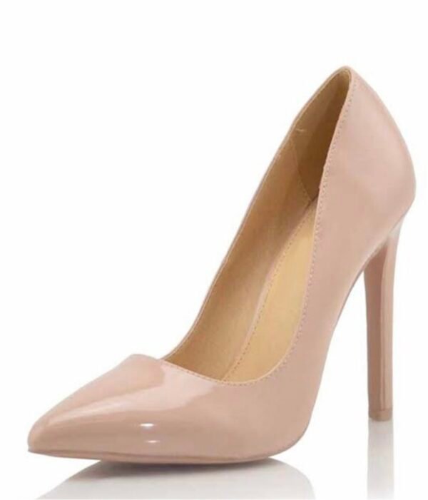 Laura Elegant Stiletto Heels