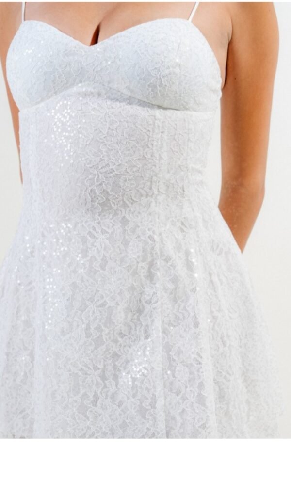 Screenshot_20250822_184325_Chrome Sequin Lace Trim Flare Mini Dress