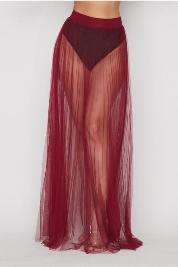 Screenshot_20250827_195121_Chrome Pleated Sheer Thin Tulle Skirt