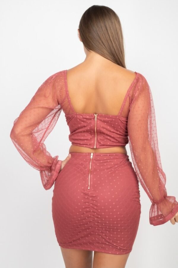 Shirring Mesh Long Sleeves Top & Skirts Set