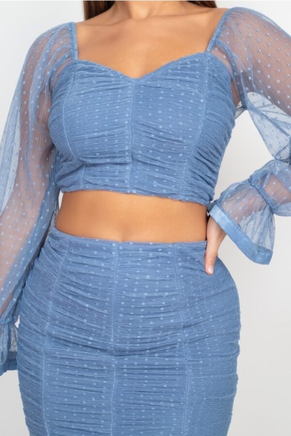 Shirring Mesh Long Sleeves Top & Skirts Set