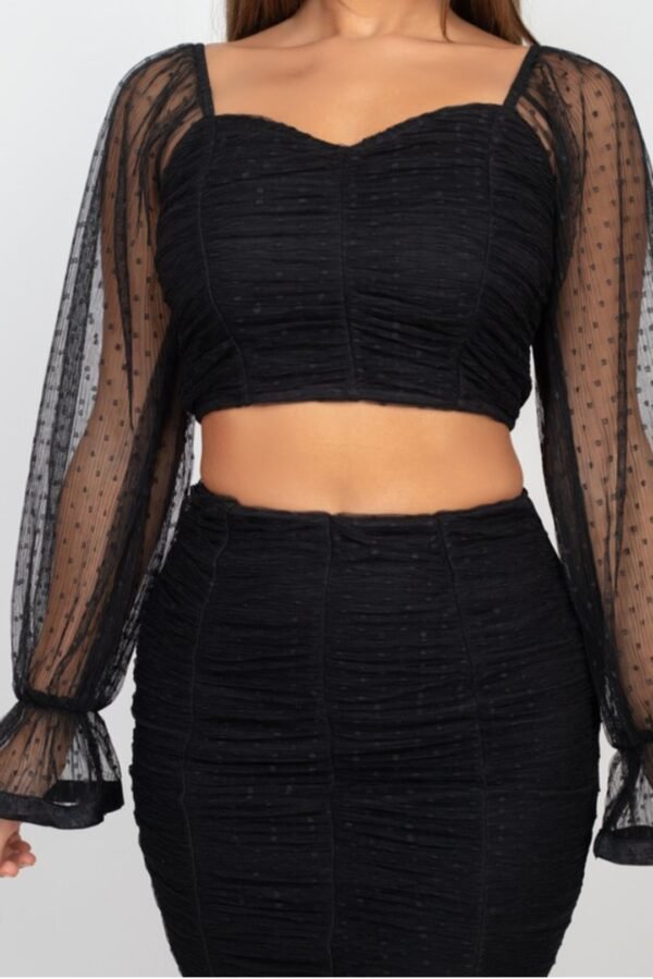 Shirring Mesh Long Sleeves Top & Skirts Set