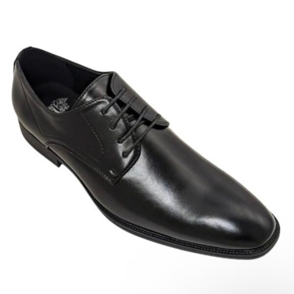 The Obsidian Oxford Shoes