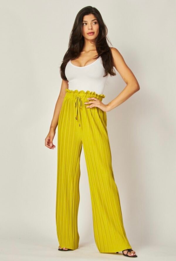 Pleated Paper Bag Drawstring Wide Leg Pants