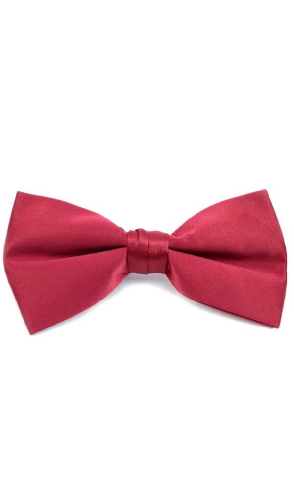 Poly Satin Clip On Bow Ties
