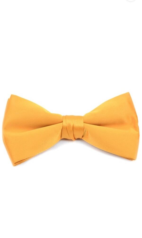 Poly Satin Clip On Bow Ties