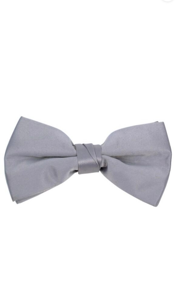 Poly Satin Clip On Bow Ties