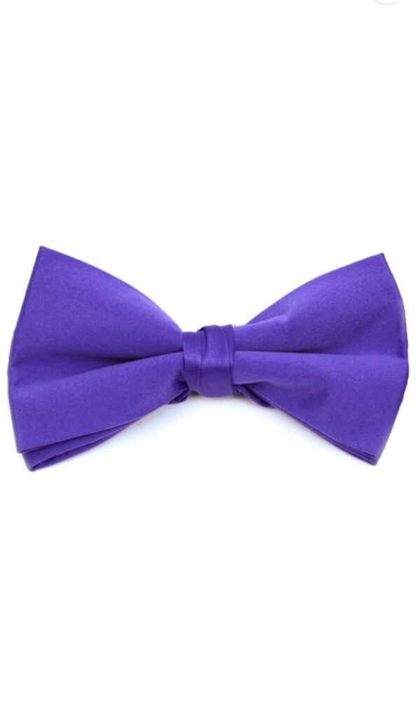 Poly Satin Clip On Bow Ties