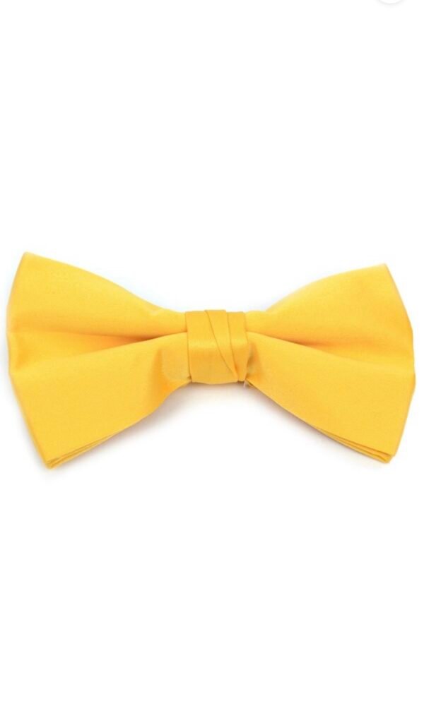 Poly Satin Clip On Bow Ties