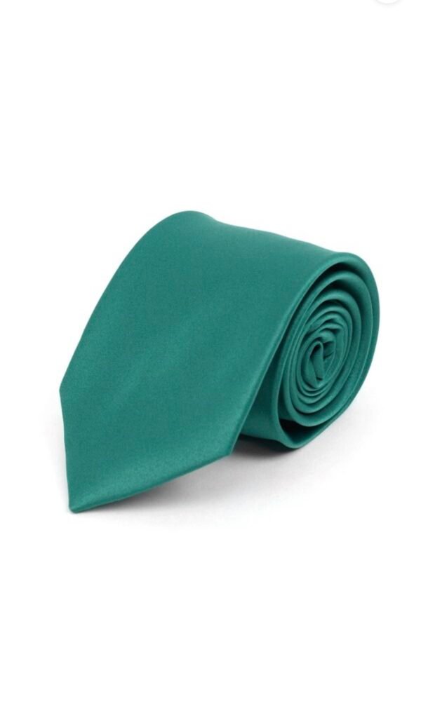 Poly Solid Satin Tie
