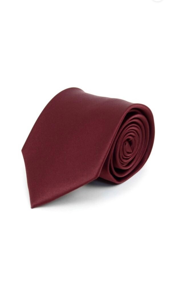 Poly Solid Satin Tie