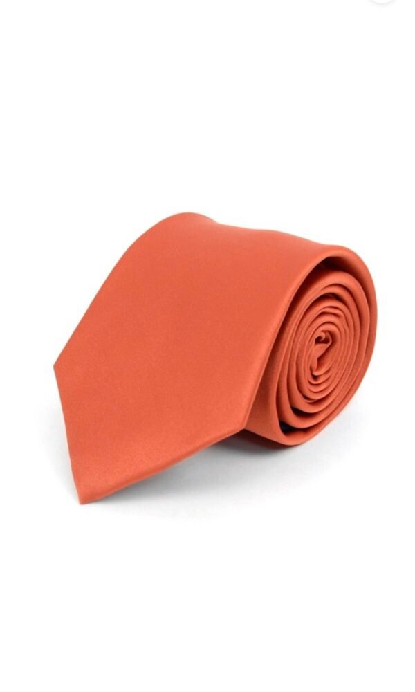 Poly Solid Satin Tie