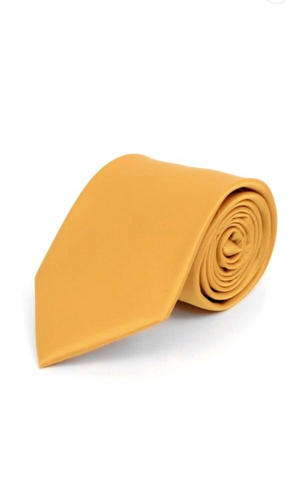Poly Solid Satin Tie