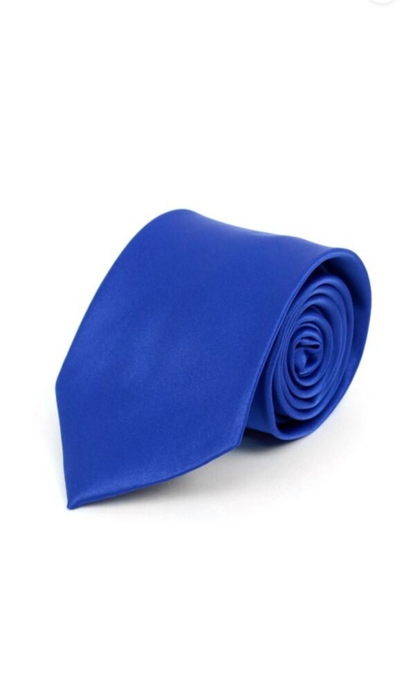 Poly Solid Satin Tie