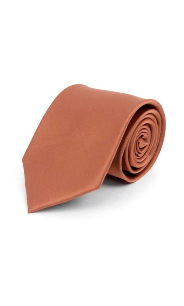 Poly Solid Satin Tie