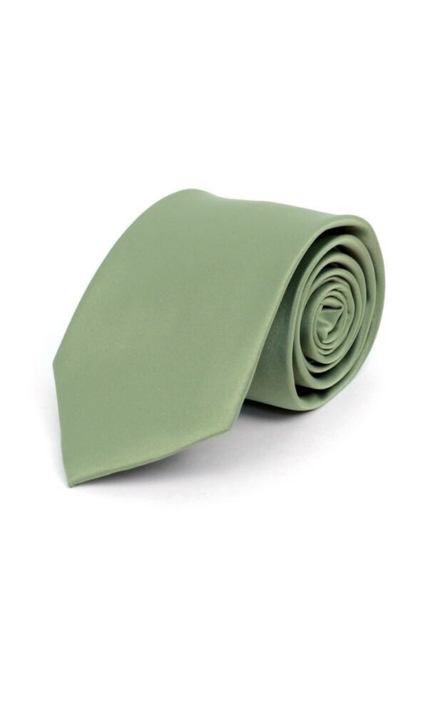 Poly Solid Satin Tie