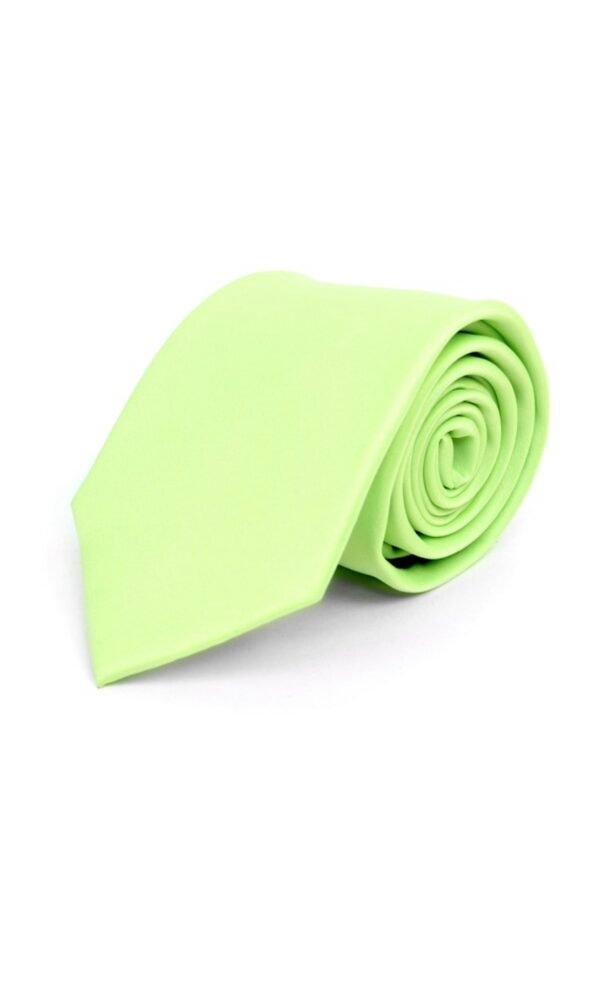 Poly Solid Satin Tie