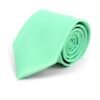 Poly Solid Satin Tie