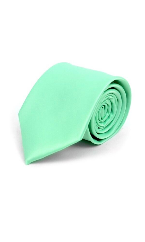 Poly Solid Satin Tie