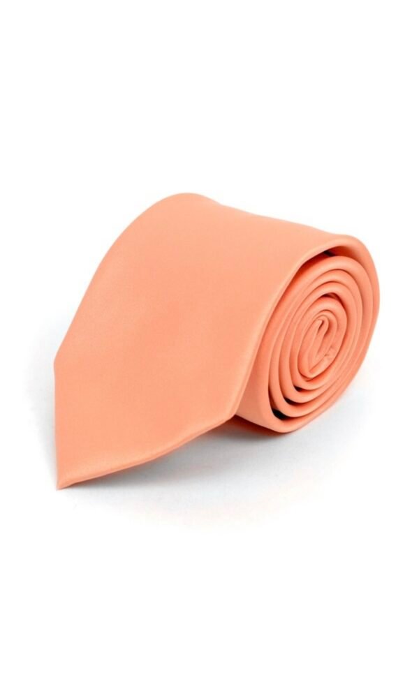 Poly Solid Satin Tie
