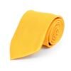 Poly Solid Satin Tie