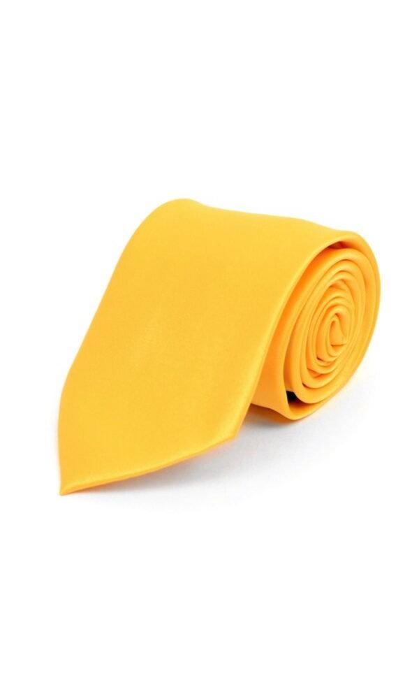 Poly Solid Satin Tie