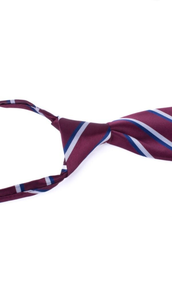Men's Burgundy Striped Zipper Tie